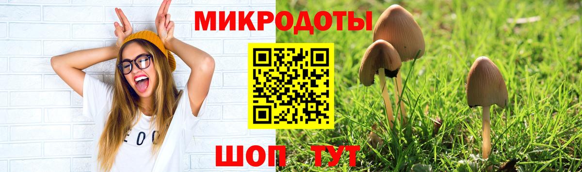Галлюциногенные грибы Magic Shrooms  Галлюциногенные грибы прущие грибы  Вход с VPN  купить наркоту  Туймазы 